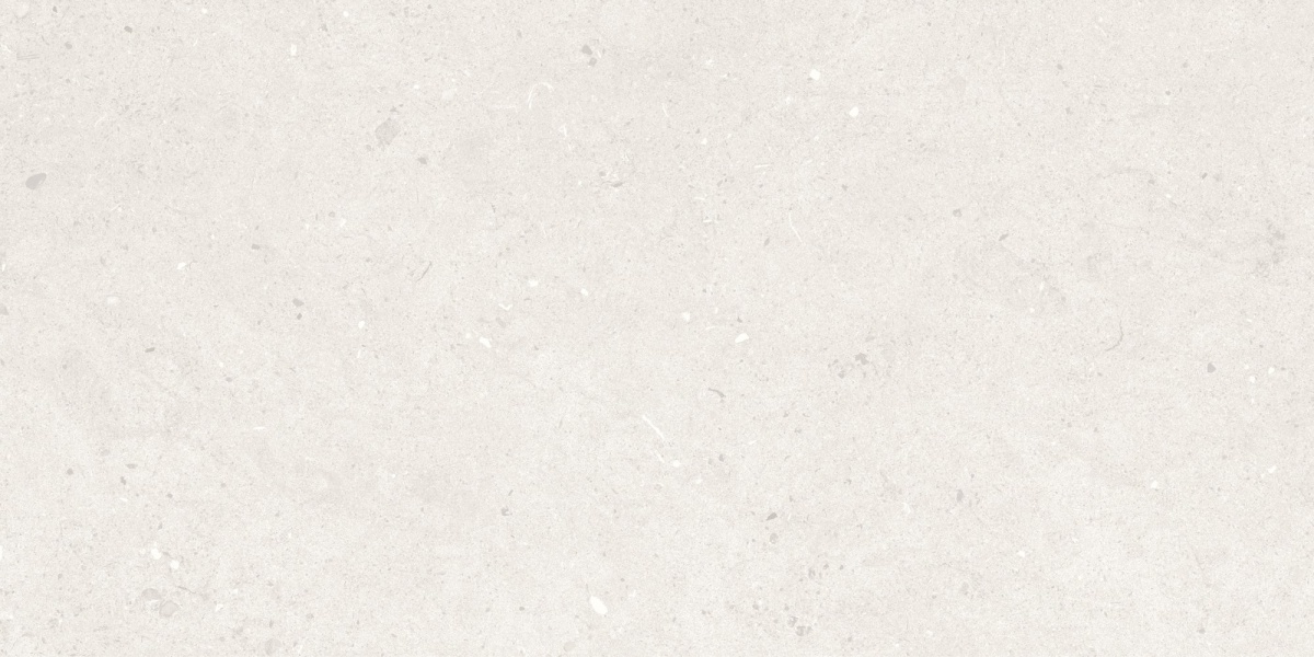 TRV501 - INDVT - SAVONA GRIGIO [MATT] (1200 X 600) [S] - 6