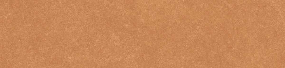 TRV402 - INDVT - LEVELS ORANGE BASE [DIGIMATT P5] (250 X 60) [OO] - 2