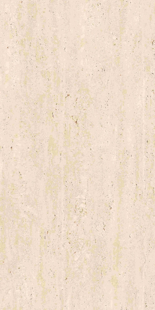 TRV412 - INDVT - TRAVEN NATURELLE [MATT] (1200 X 600) [S] - 6