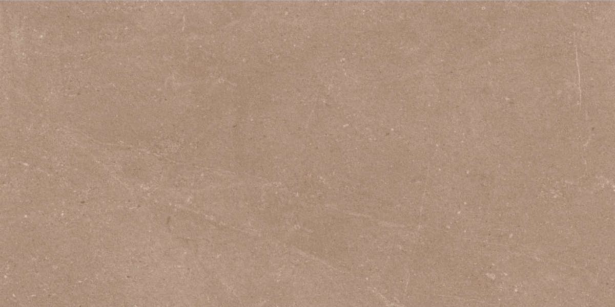 402 - TTM1 - NATIVE BROWN PLAIN [DG MATT] (1200 X 600) [OO] - 1