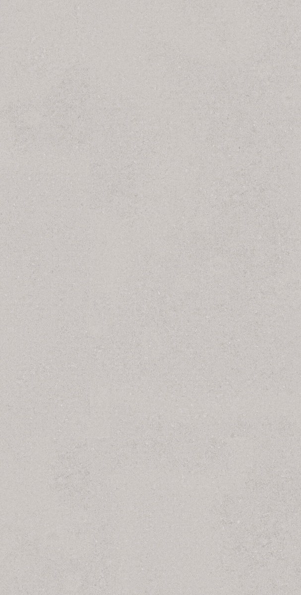 TRV416 - INDVT - RECTON GREY R1 [MATT] (1200 X 600) [S] - 4