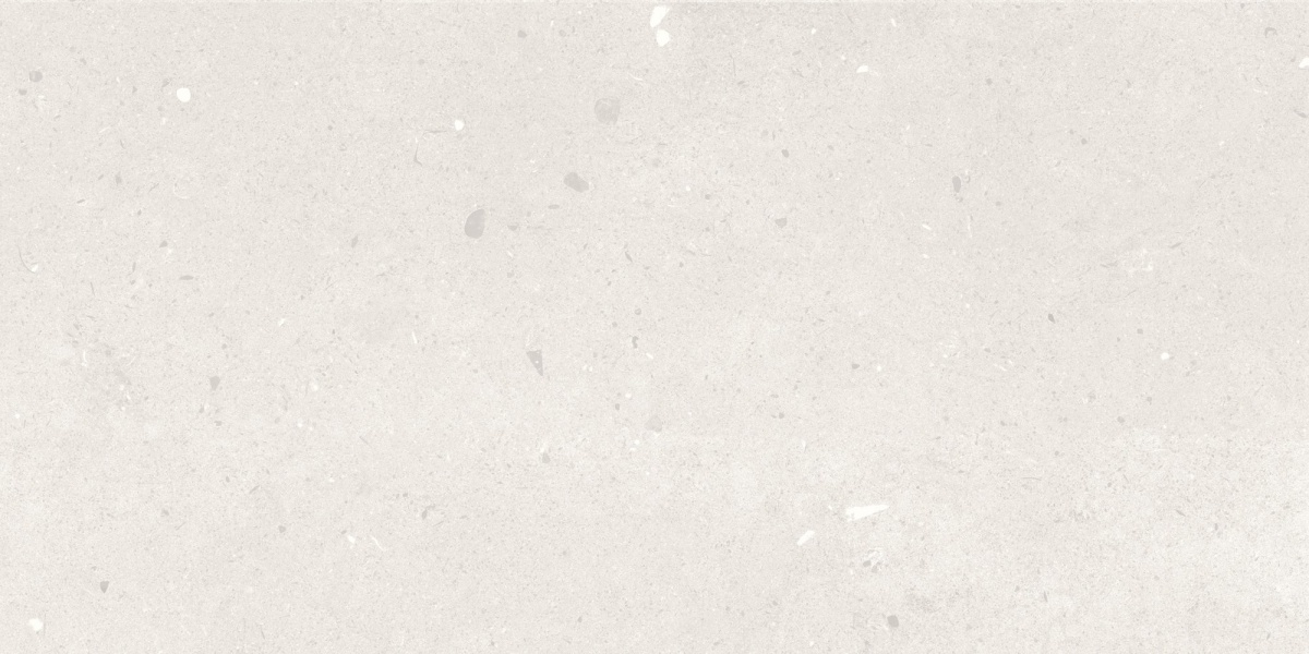 TRV501 - INDVT - SAVONA GRIGIO [MATT] (1200 X 600) [S] - 2