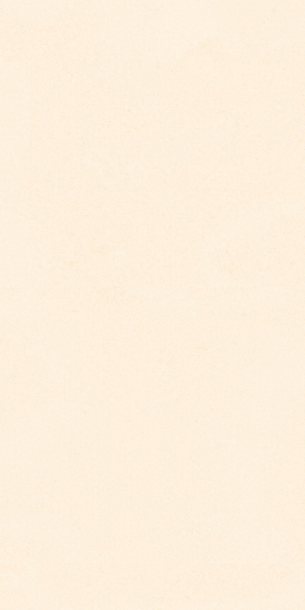TRV416 - INDVT - RECTON BEIGE R1 [MATT] (1200 X 600) [S] - 3