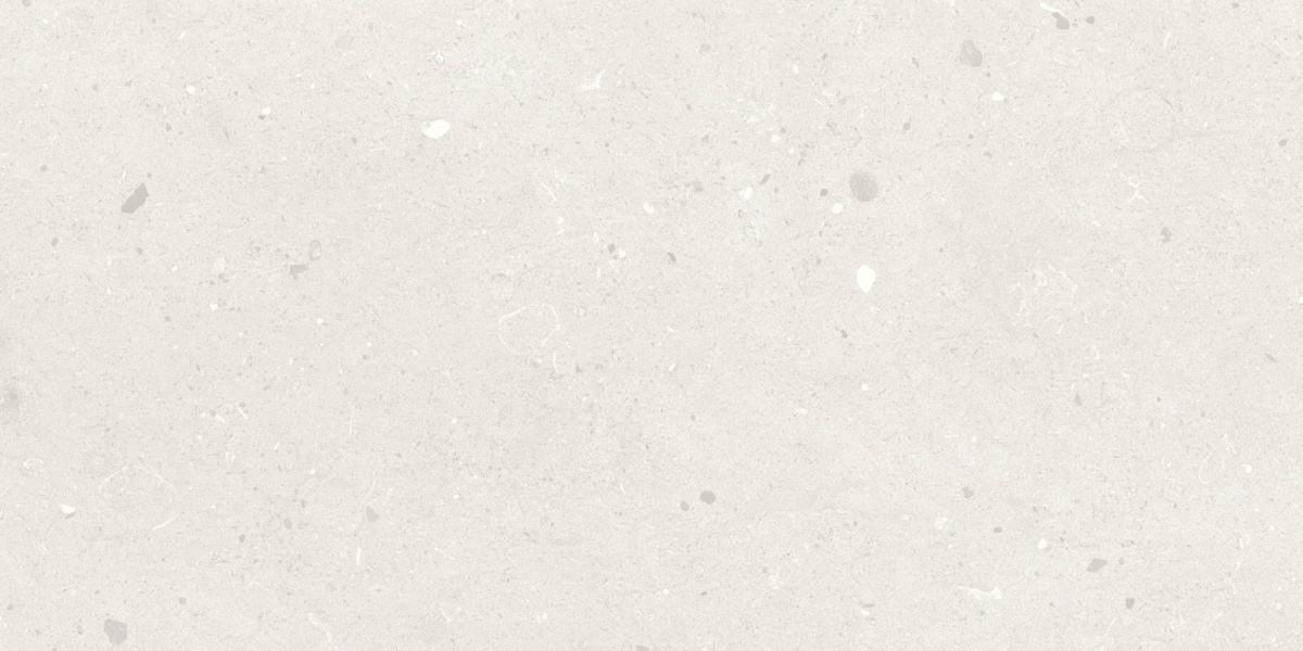 TRV501 - INDVT - SAVONA GRIGIO [MATT] (1200 X 600) [S] - 4