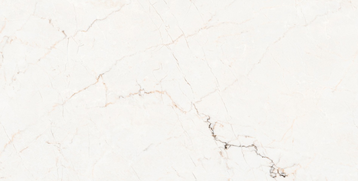TRV414 - INDVT - ROCK LEROX WHITE [CARVING] (1200 X 600) [S] - 4