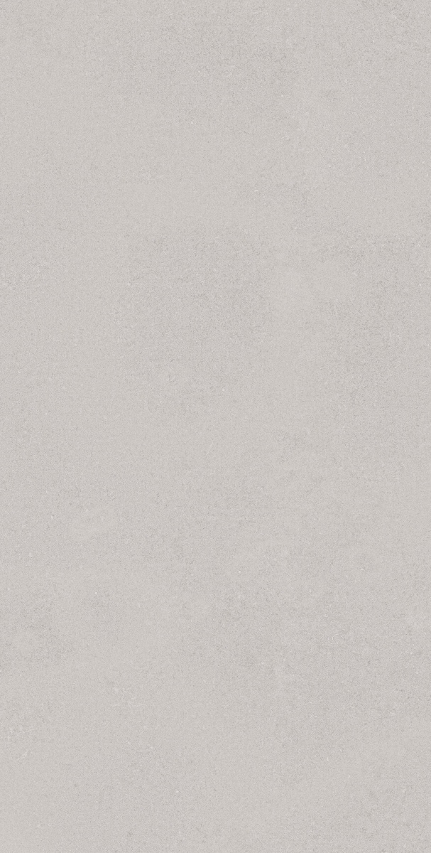 TRV416 - INDVT - RECTON GREY R1 [MATT] (1200 X 600) [S] - 3