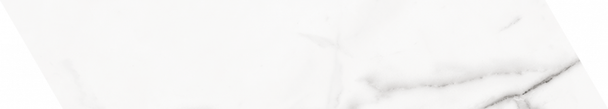 TRV402 - INDVT - GRANITO WHITE CHEVRON [DIGIMATT] (400 X 80) [OO] - 4