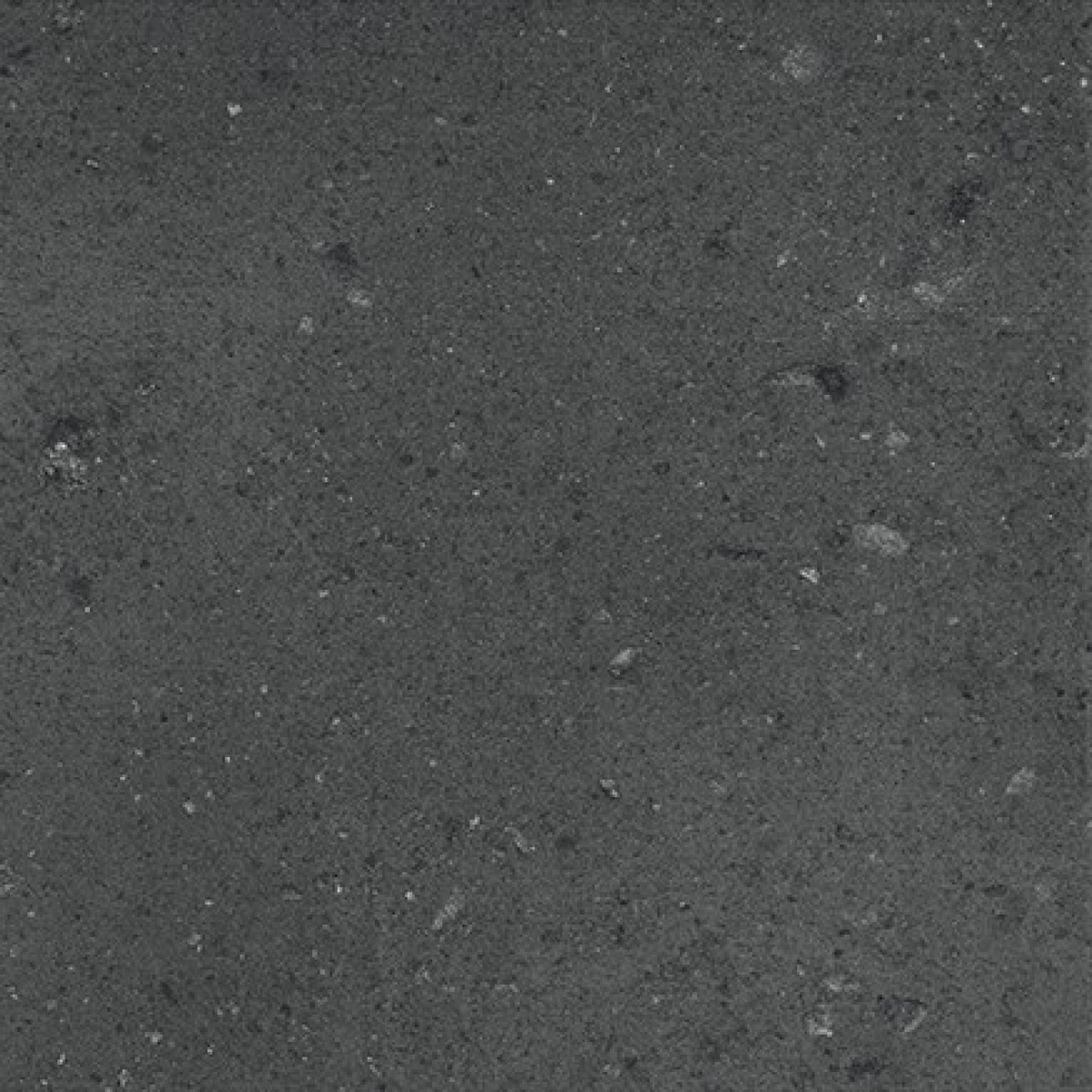 TRV402 - INDVT - ITALICA BLACK [GHR MATT PUNCH] (200 X 200) [OO] - 2
