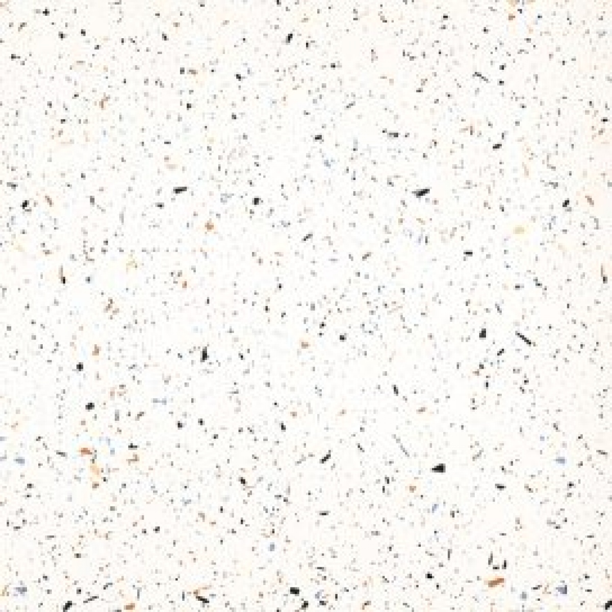 401 - IMC1 - IRIA TERRAZZO [FUSION] (600 X 600) [SD] - 2