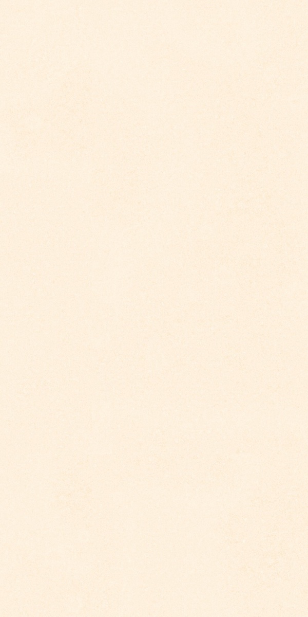 TRV416 - INDVT - RECTON BEIGE R1 [MATT] (1200 X 600) [S] - 4