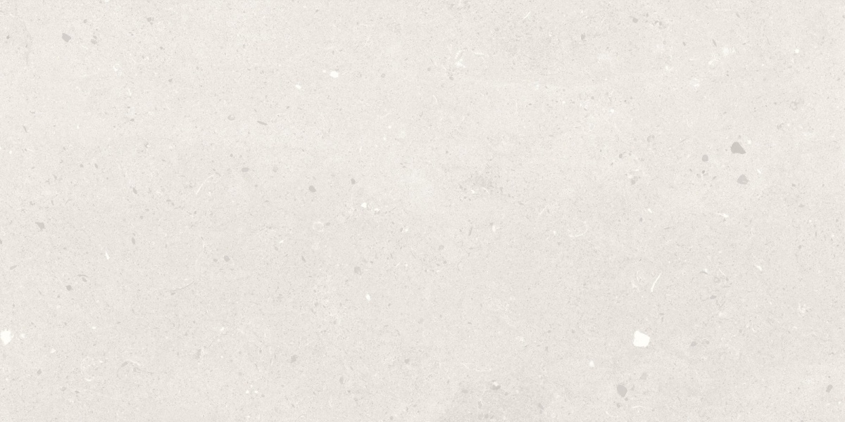 TRV501 - INDVT - SAVONA GRIGIO [MATT] (1200 X 600) [S] - 5
