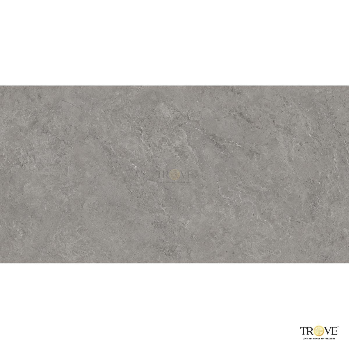 TRV407 - INDVT - TRACK GRIGIO [GRANULA MATT] (1200 X 600) [D] - 3
