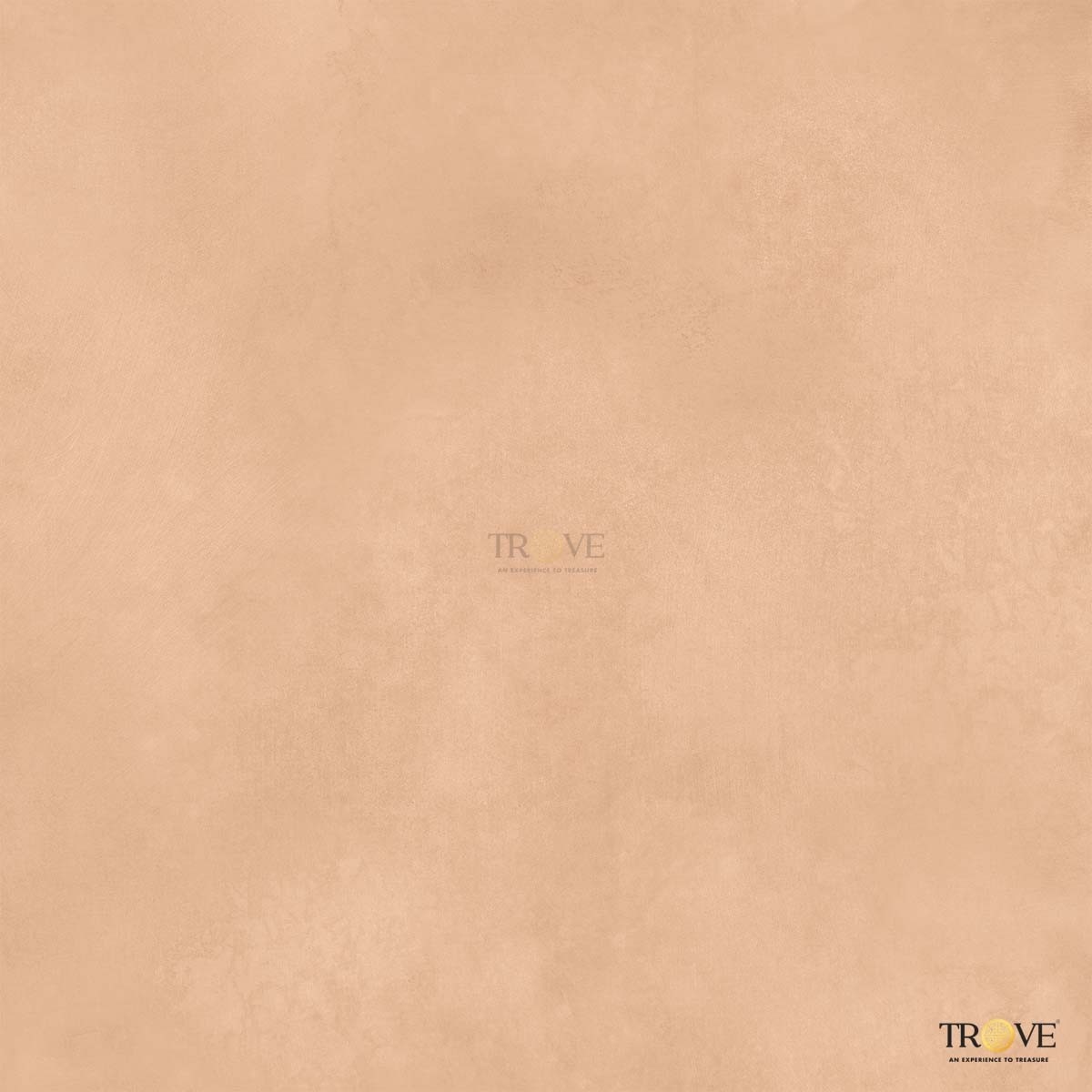 TRV413 - INDSMVT - SOLID BROWN [MATT] (600 X 600) [S] - 3