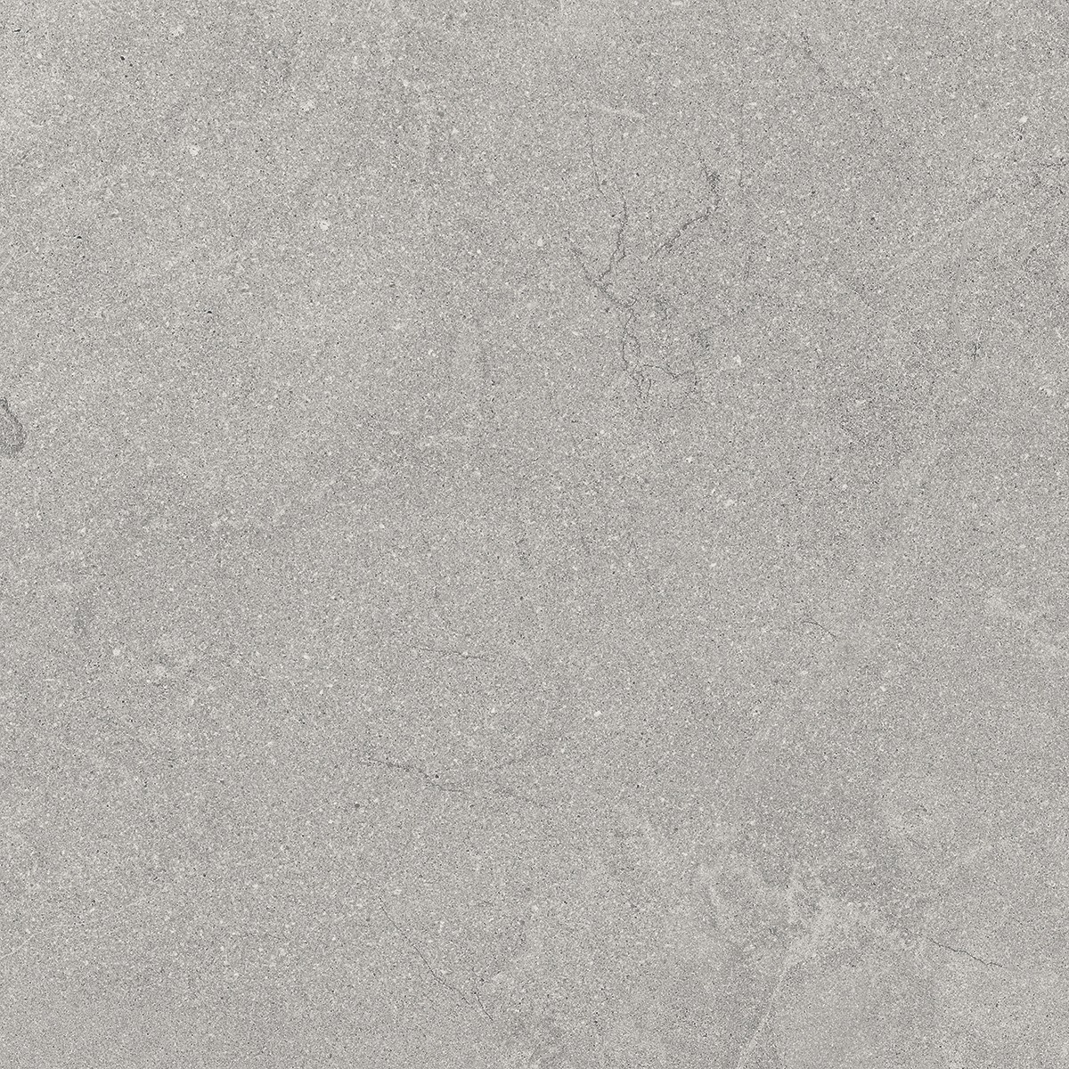 501 - THM2 - MONZA FOSSIL [MATT] (600 X 600) [OO] - 3
