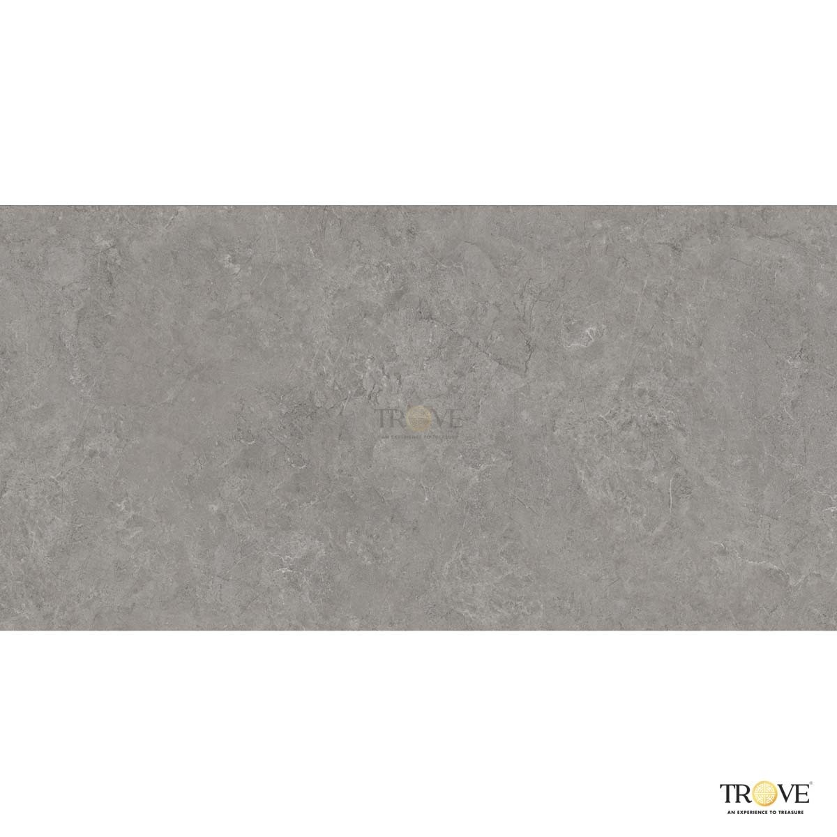 TRV407 - INDVT - TRACK GRIGIO [GRANULA MATT] (1200 X 600) [D] - 2