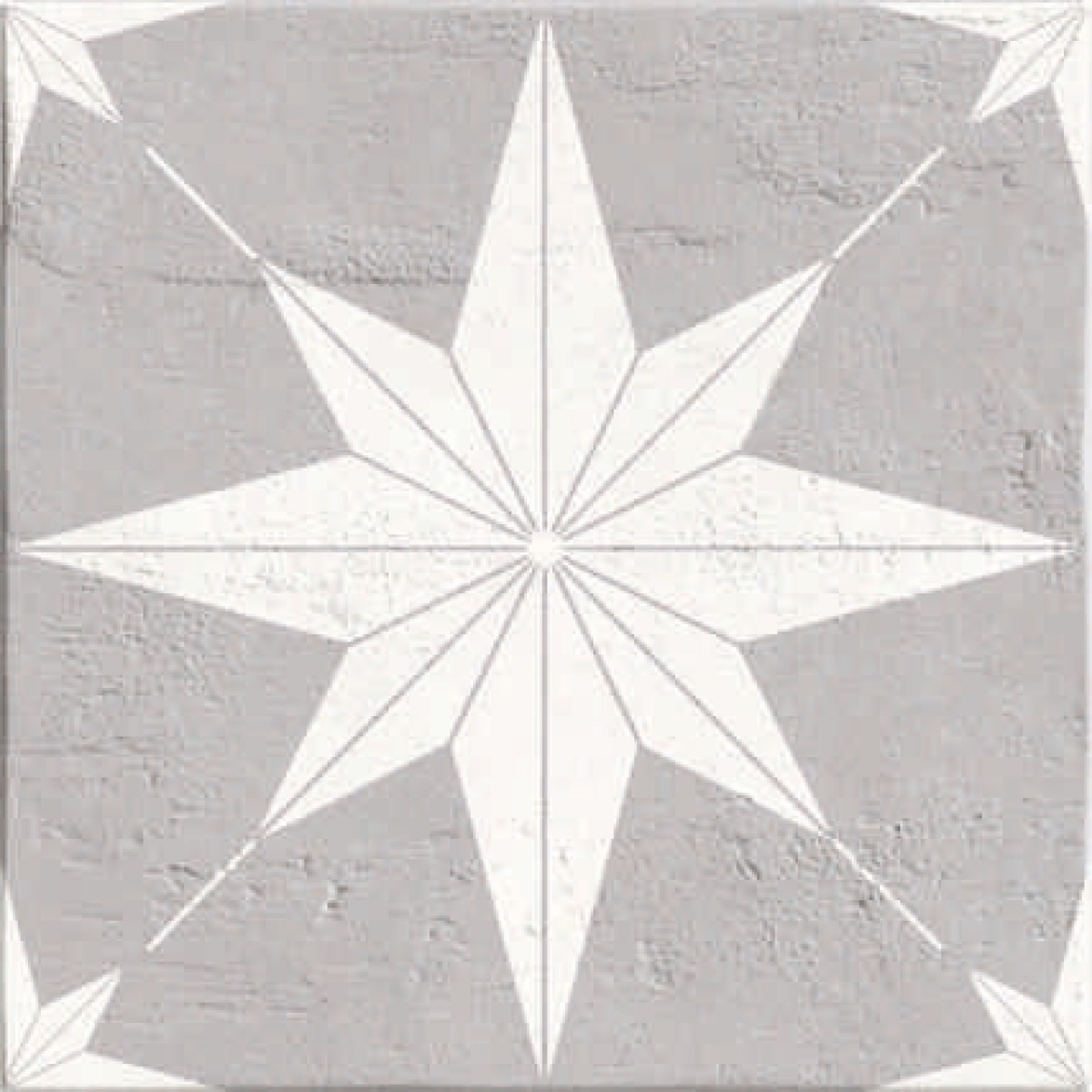 TRV402 - INDVT - LEVELS BLANC DECOR 1021 [MATT GRANULLA PUNCH] (200 X 200) [OO] - 2