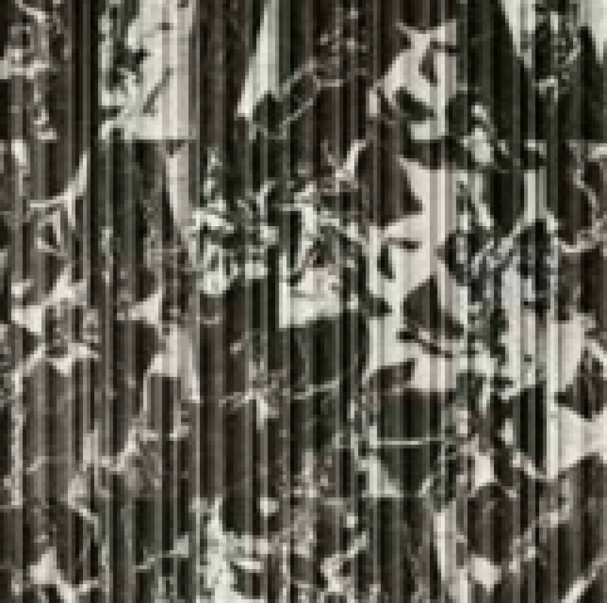807 - TTM5 - TEMPO PAUSA NERO (400 X 100) [OO] - 1