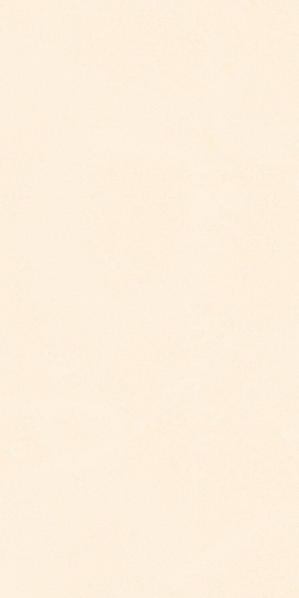 TRV416 - INDVT - RECTON BEIGE R1 [MATT] (1200 X 600) [S] - 1