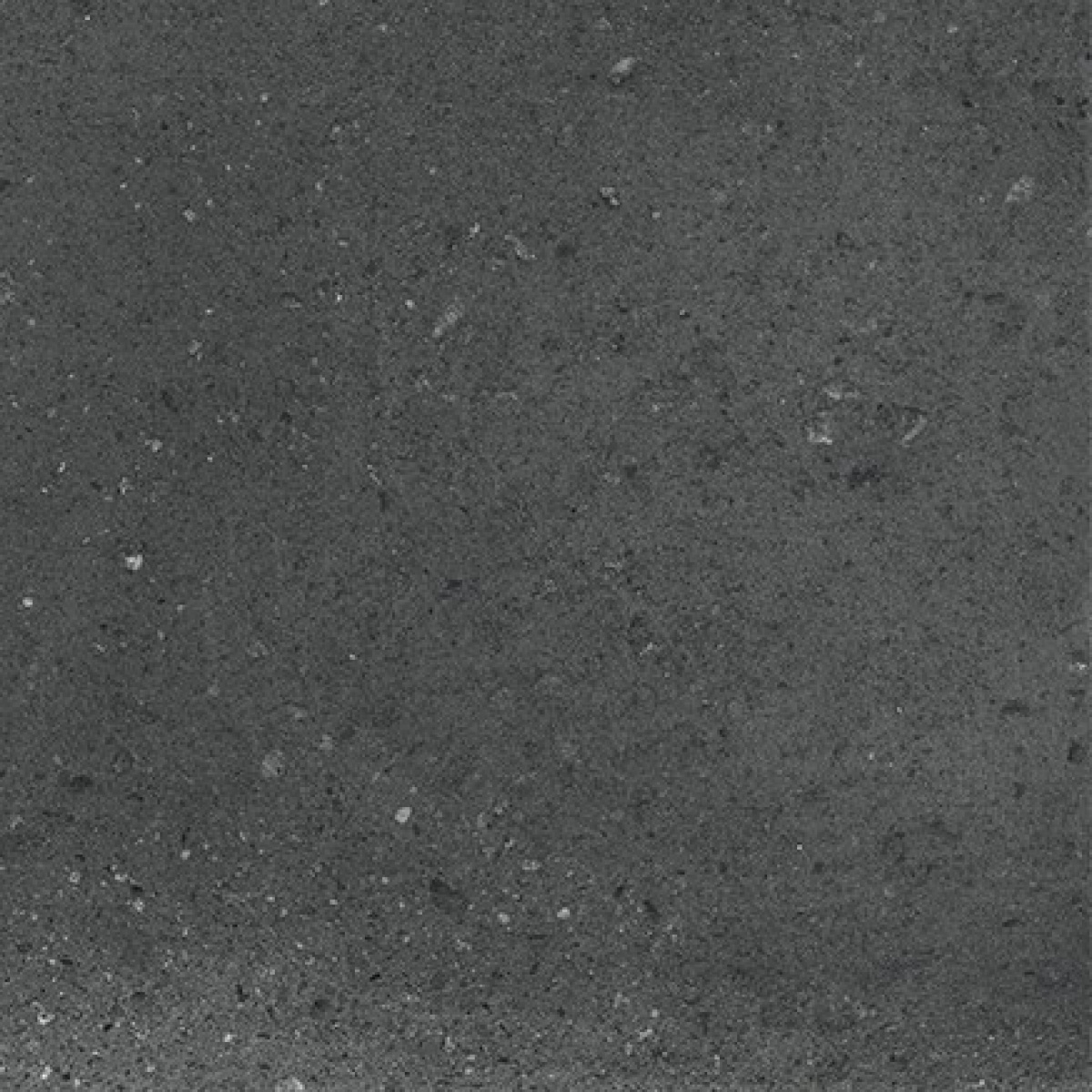 TRV402 - INDVT - ITALICA BLACK [GHR MATT PUNCH] (200 X 200) [OO] - 5