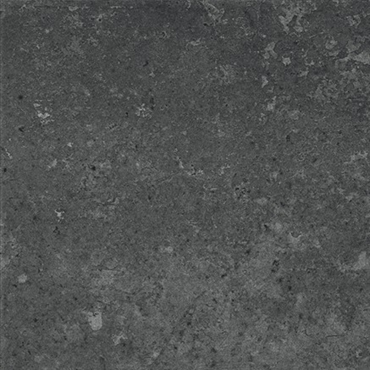 TRV402 - INDVT - ITALICA BLACK [GHR MATT PUNCH] (200 X 200) [OO] - 6