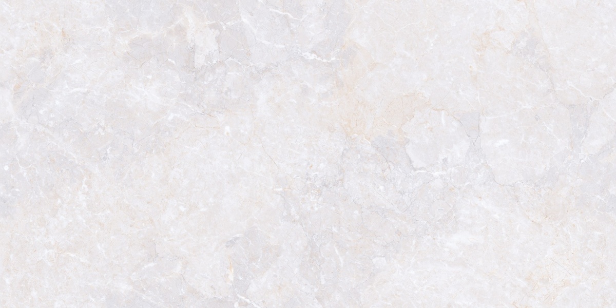 TRV421 - INDVT - SILVER MIST [GLOSSY ENDLESS] (1600 X 800) [S]