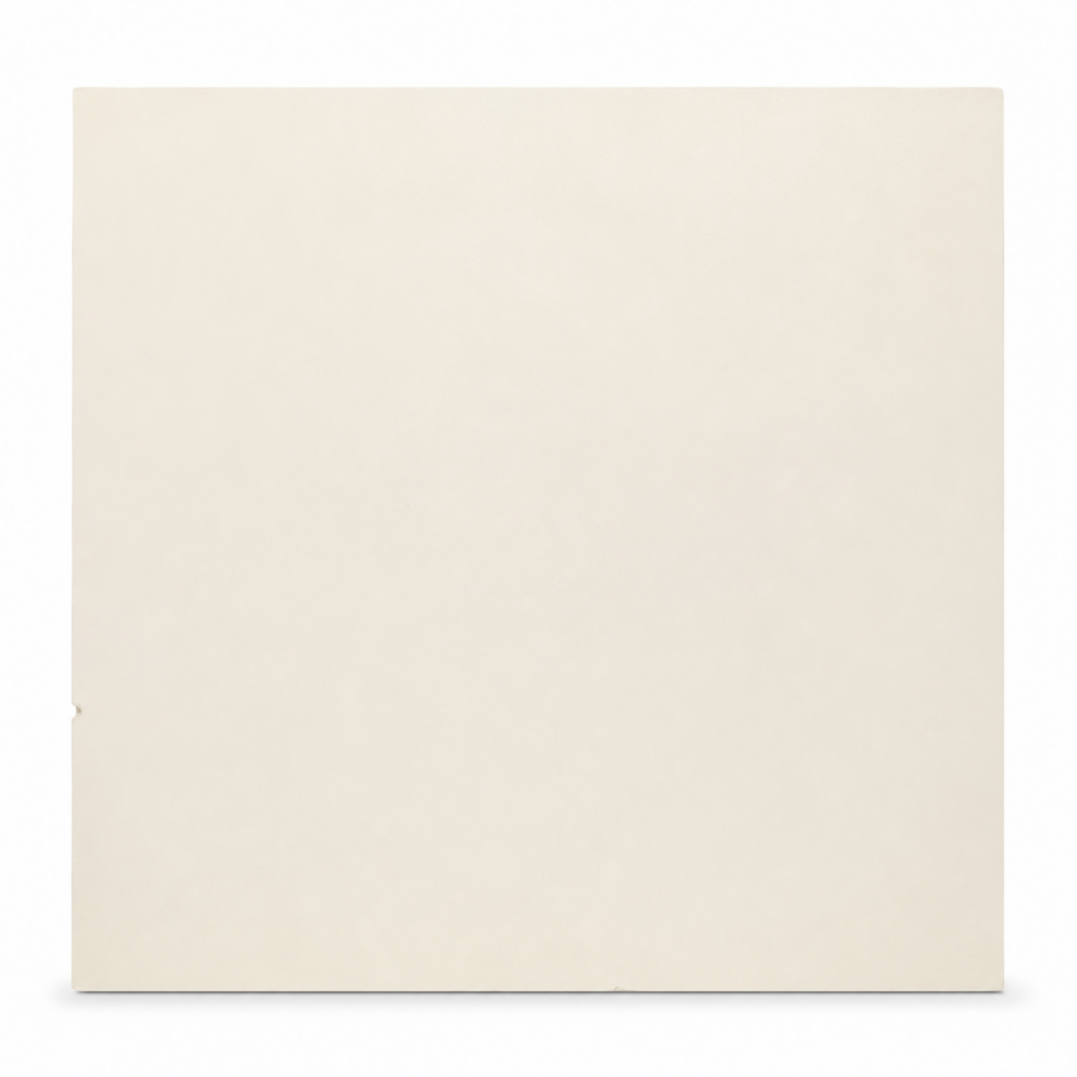 501 - THM2 - ANCONA HUSK [MATT] (600 X 600) [S] - 1