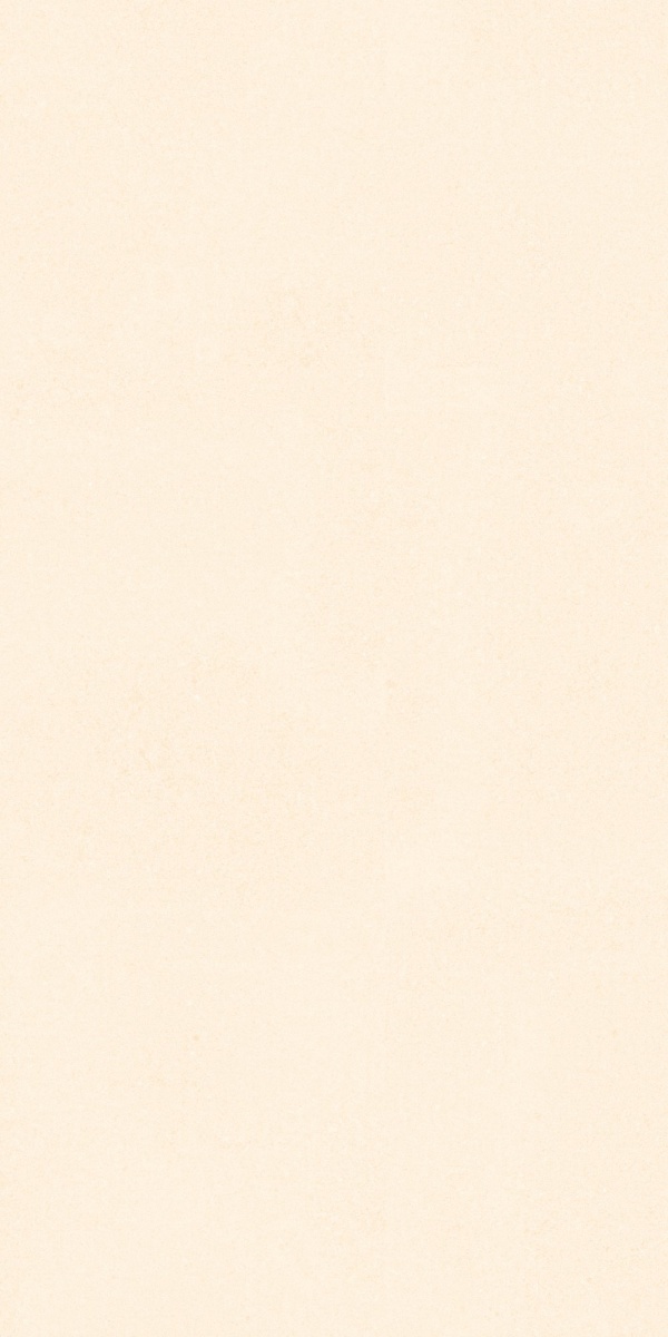 TRV416 - INDVT - RECTON BEIGE R1 [MATT] (1200 X 600) [S] - 2