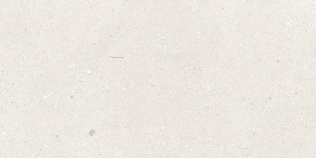 TRV501 - INDVT - SAVONA GRIGIO [MATT] (1200 X 600) [S] - 1