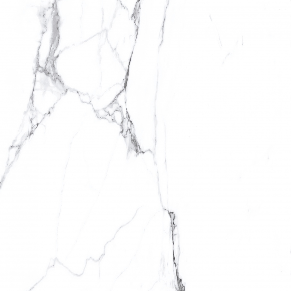 TRV407 - INDVT - SATURIO V9 [GLOSSY] (1200 X 600) [S]