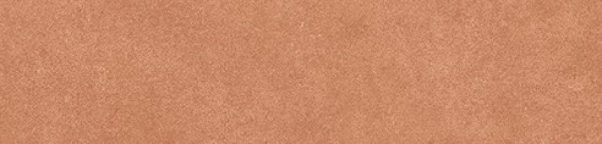 TRV402 - INDVT - LEVELS RED BASE [GLOSSY] (250 X 60) [OO] - 8