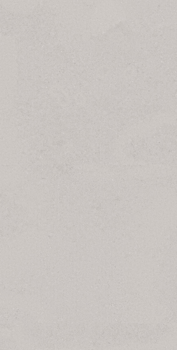 TRV416 - INDVT - RECTON GREY R1 [MATT] (1200 X 600) [S] - 1