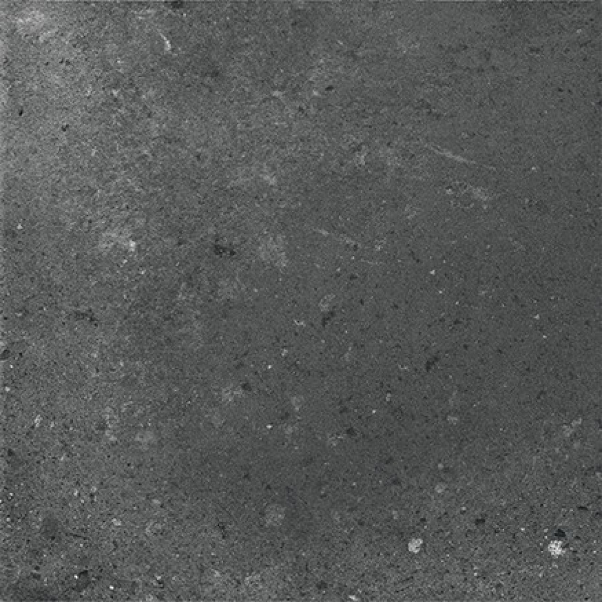 TRV402 - INDVT - ITALICA BLACK [GHR MATT PUNCH] (200 X 200) [OO] - 9
