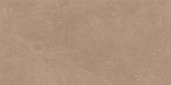 402 - TTM1 - NATIVE BROWN PLAIN [DG MATT] (1200 X 600) [OO]