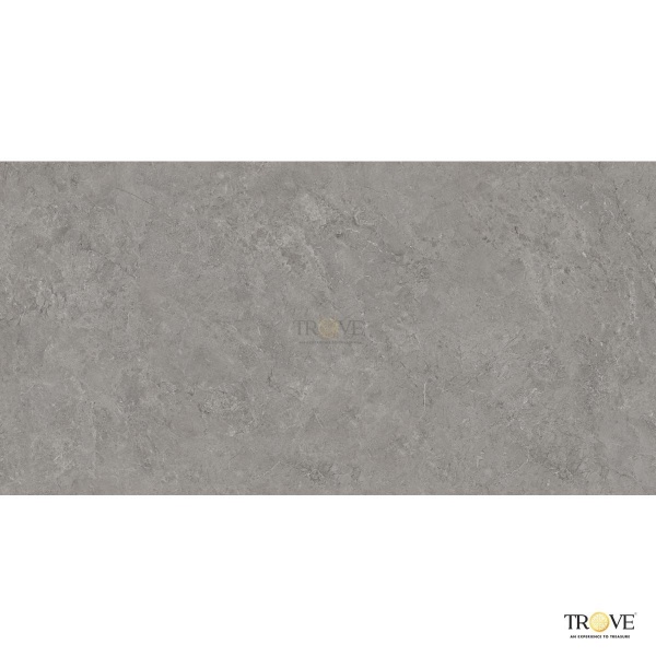 TRV407 - INDVT - TRACK GRIGIO [GRANULA MATT] (1200 X 600) [D]