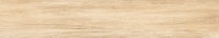 TRV409 - INDVT - APRICOT BEIGE (1200 X 200) [S-CH]
