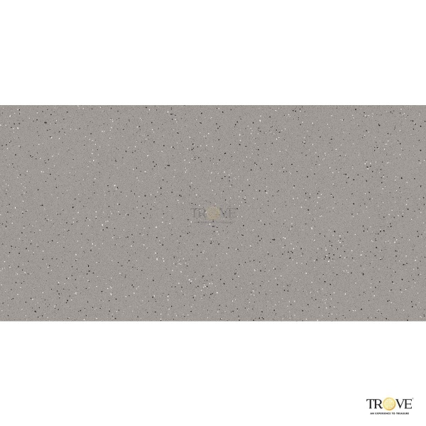TRV412 - INDVT - TREZZO STONEX [MATT] (1200 X 600) [OO]