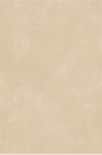 TRV402 - INDVT - FERRO BEIGE [METALLIC] (1800 X 1200) [OO]