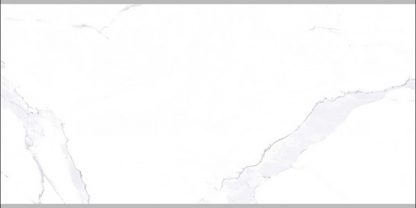 TRV709 - IMPVT - 203 L (600 X 300) [OO]