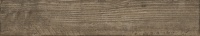 TRV409 - INDVT - CONCRETE WOOD BROWN (1200 X 200) [SD]