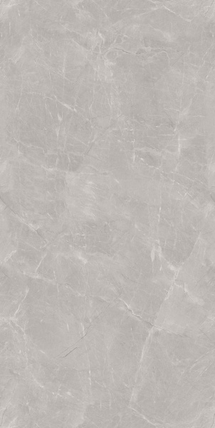 TRV402 - INDVT - PASSION GREY [HYBRID GLOSSY] (1600 X 800) [S-CH]