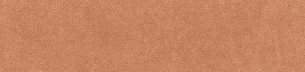 TRV402 - INDVT - LEVELS RED BASE [GLOSSY] (250 X 60) [OO]