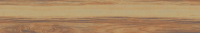 TRV405 - INDVT - D12 25101 (1200 X 200) [SD]
