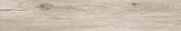 TRV409 - INDVT - APRICOT GRIGIO (1200 X 200) [SD]