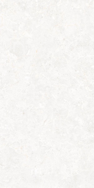 TRV439 - INDVT - ROCK VISTAR BIANCO [CARVING] (1200 X 600) [S]