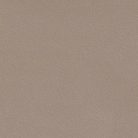 TRV412 - INDVT - TIMBER [RIVER] [15MM] (600 X 600) [S]