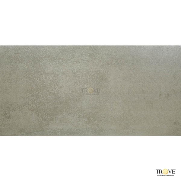 TRV417 - INDVT - HARDSCAPE ASH [PLAIN 13 MM]  (800 X 398) [S]