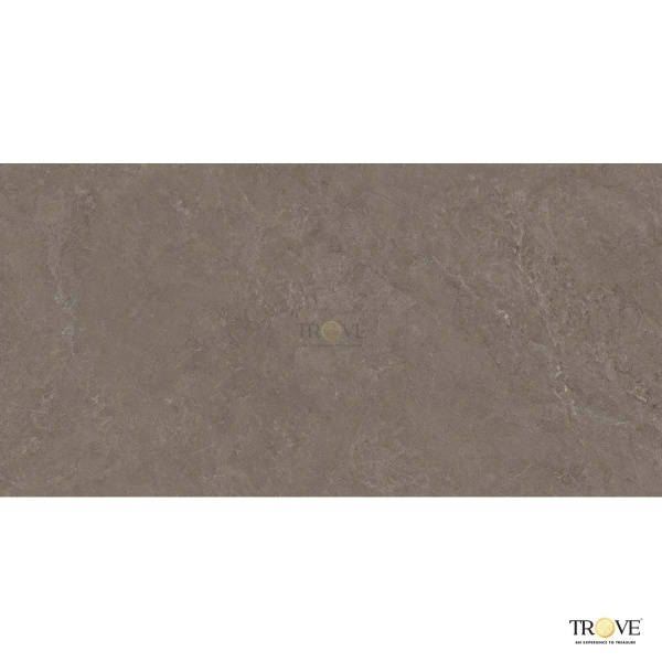TRV407 - INDVT - TRACK NUT [GRANULA MATT] (1200 X 600) [S-CH]