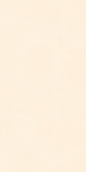 TRV416 - INDVT - RECTON BEIGE R1 [MATT] (1200 X 600) [S]