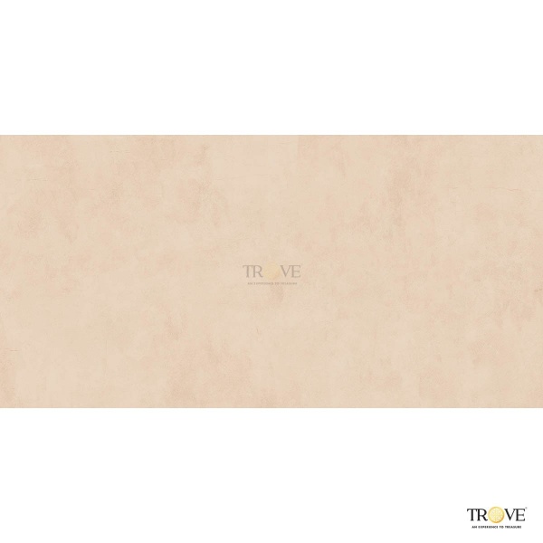 TRV407 - INDVT - CLAY BEIGE [DRY GRANULLA] (1200 X 600) [SD]