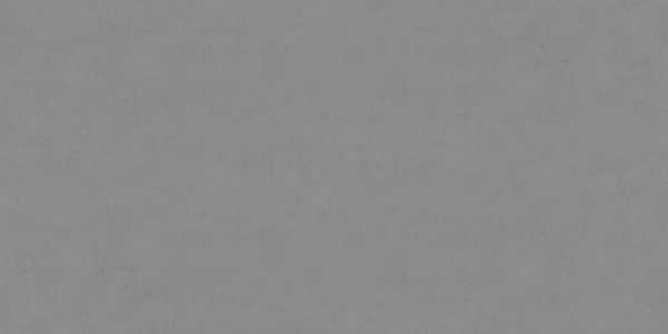 TRV501 - INDVT - EVOLVA SLATE [MATT] (1200 X 600) [S]